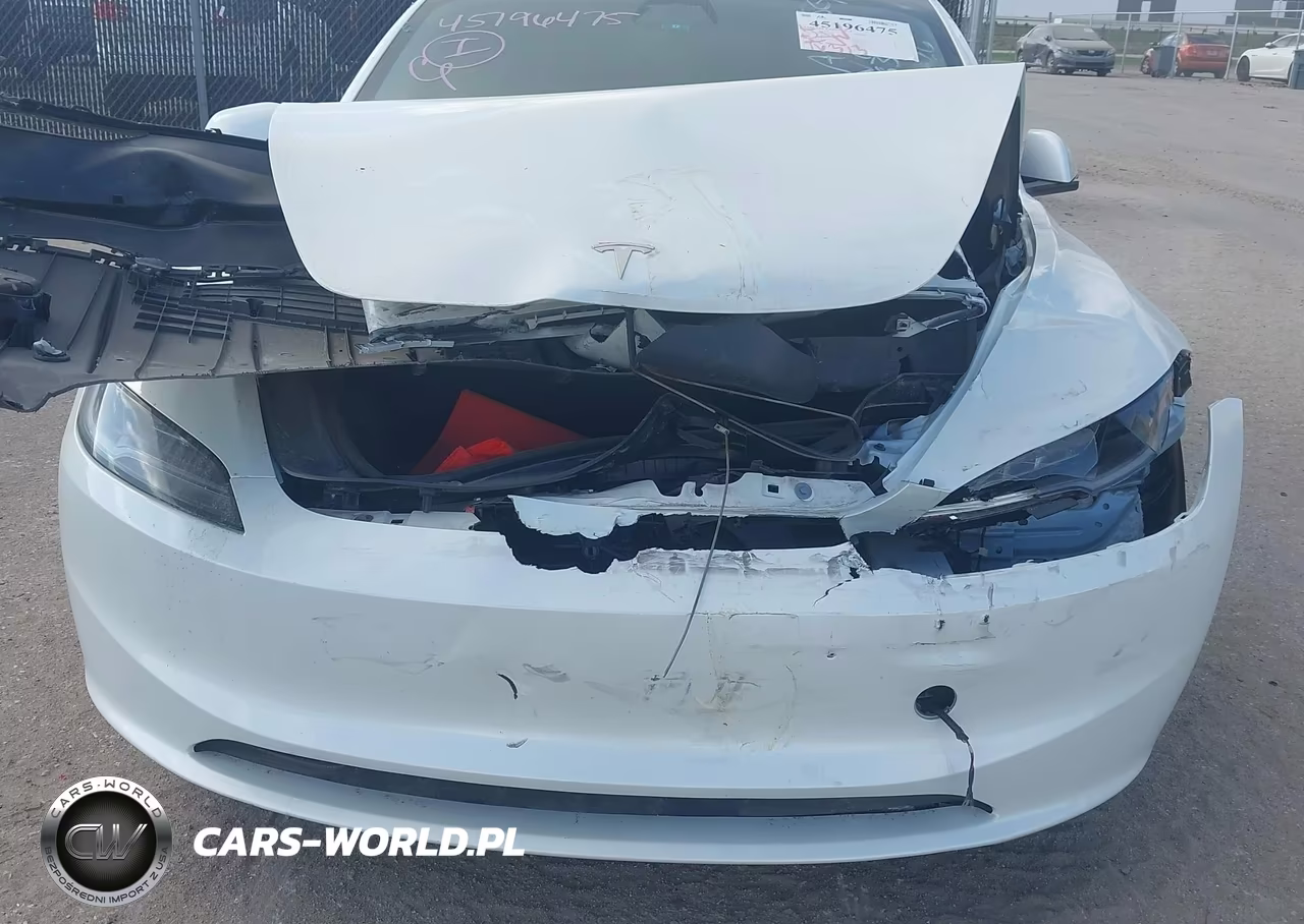 2025 Tesla Model 3 Long Range Rear-Wheel Drive-Standard Rear-Wheel Drive VIN:5YJ3E1EA3SF010029 - 12