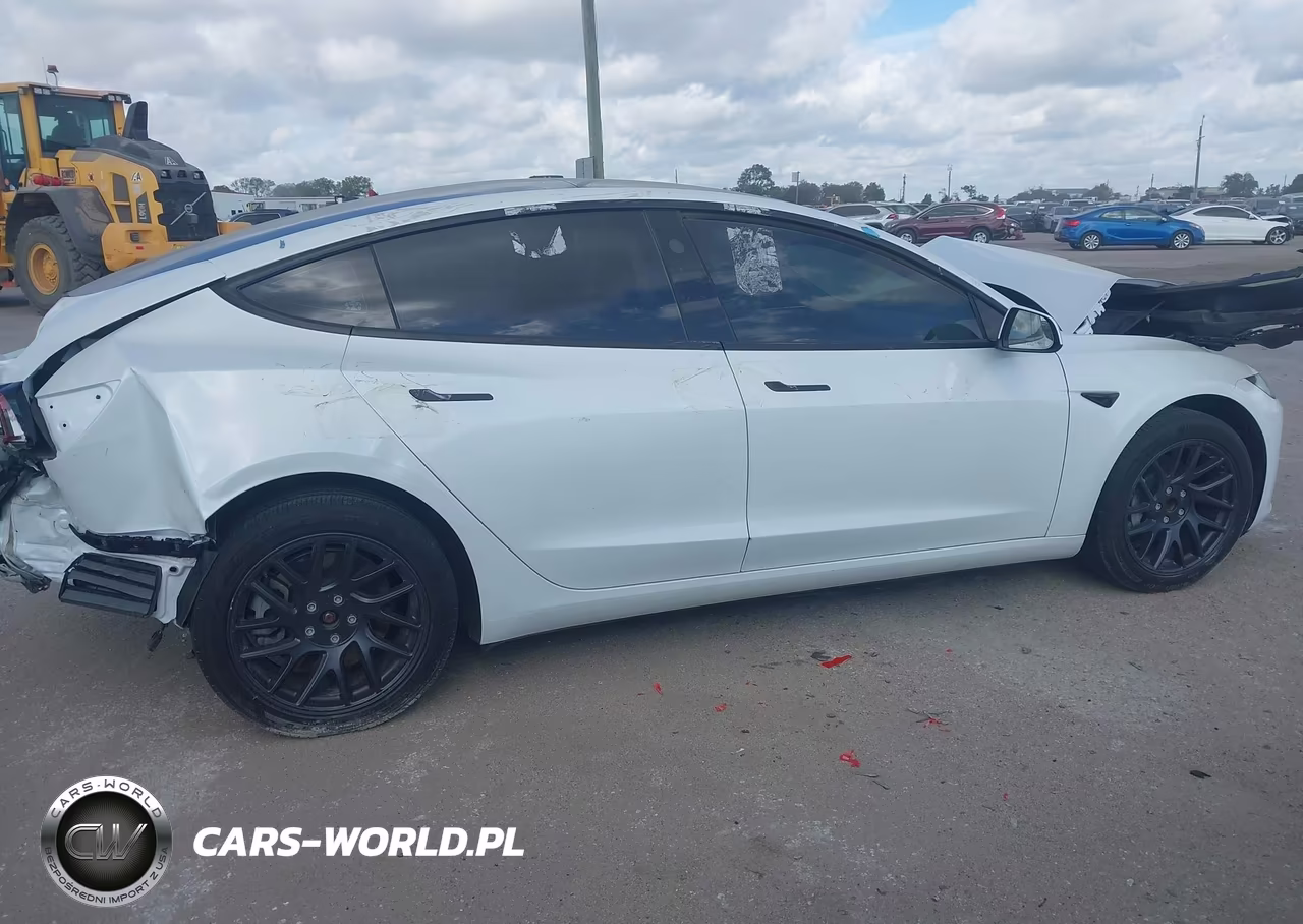 2025 Tesla Model 3 Long Range Rear-Wheel Drive-Standard Rear-Wheel Drive VIN:5YJ3E1EA3SF010029 - 13