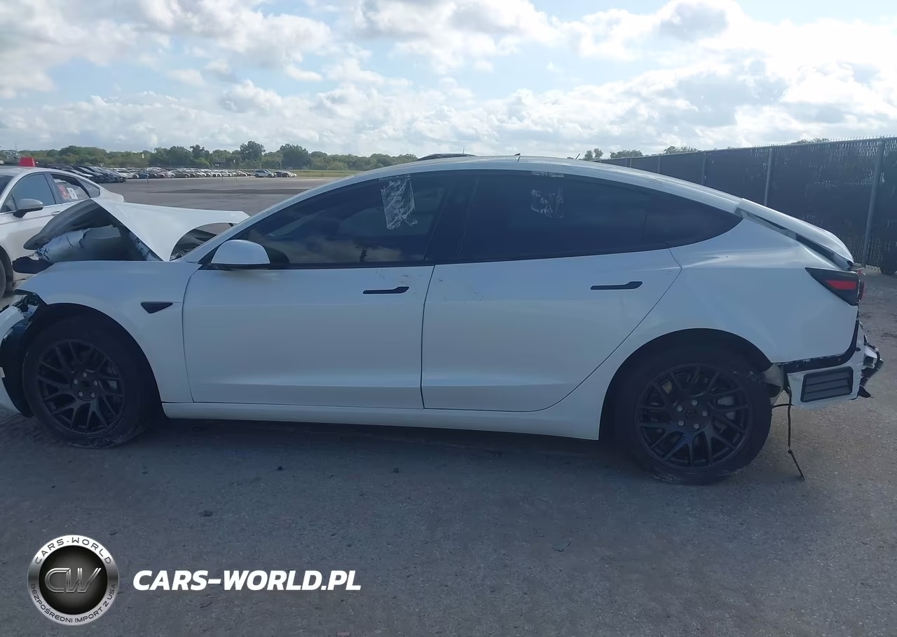 2025 Tesla Model 3 Long Range Rear-Wheel Drive-Standard Rear-Wheel Drive VIN:5YJ3E1EA3SF010029 - 14