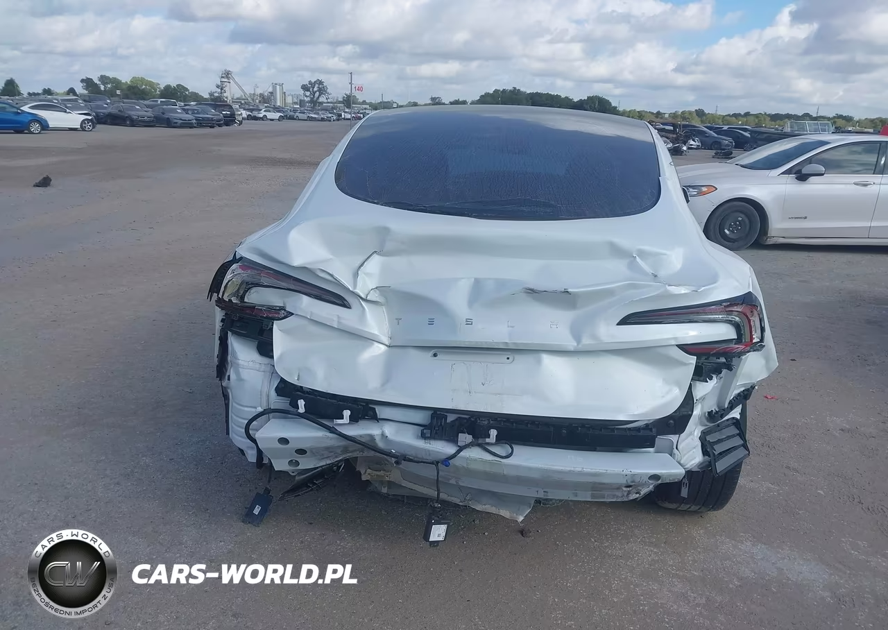 2025 Tesla Model 3 Long Range Rear-Wheel Drive-Standard Rear-Wheel Drive VIN:5YJ3E1EA3SF010029 - 16