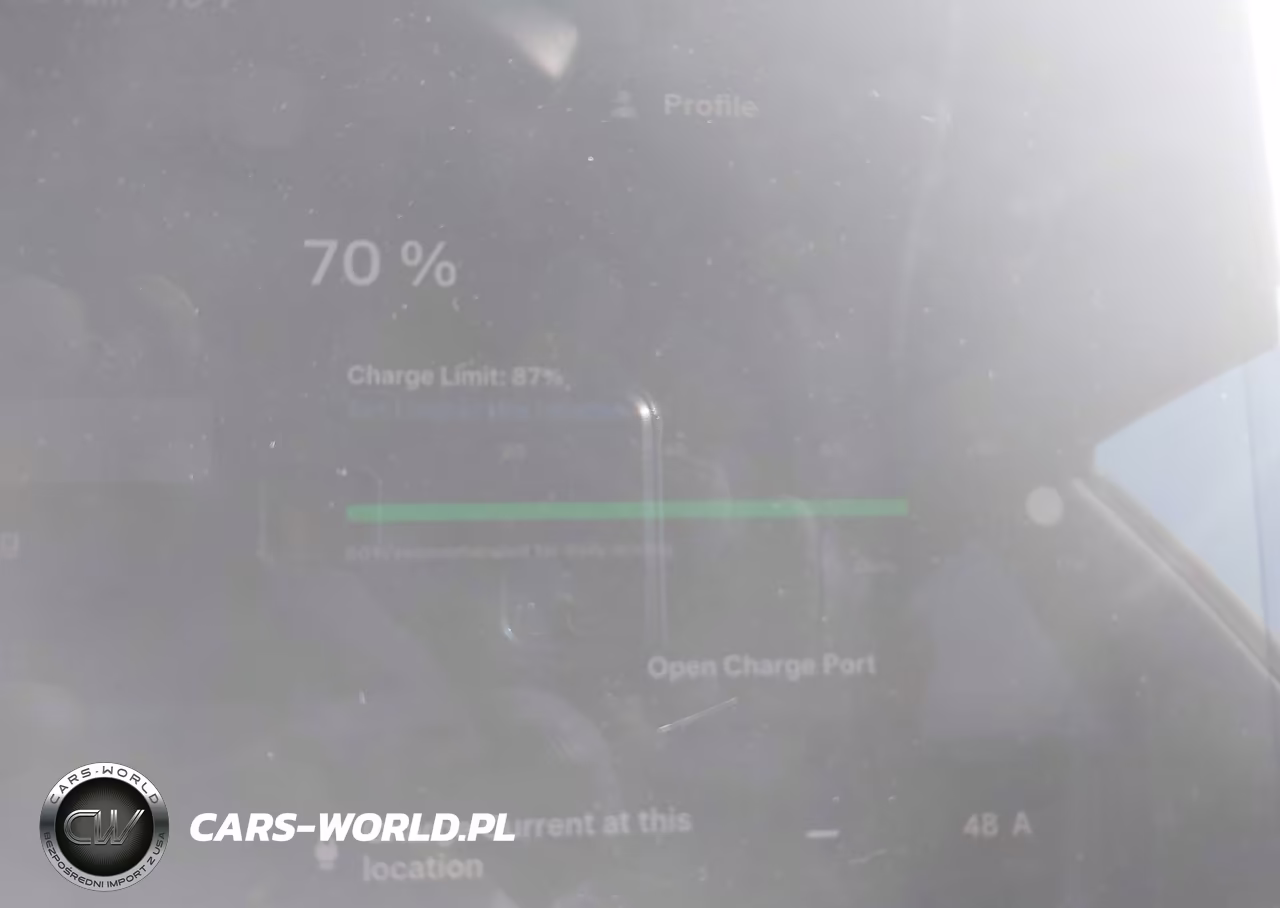 2025 Tesla Model 3 Long Range Rear-Wheel Drive-Standard Rear-Wheel Drive VIN:5YJ3E1EA3SF010029 - 17