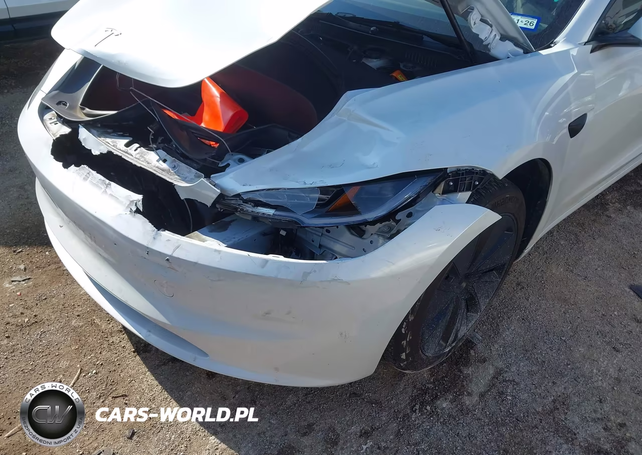 2025 Tesla Model 3 Long Range Rear-Wheel Drive-Standard Rear-Wheel Drive VIN:5YJ3E1EA3SF010029 - 19