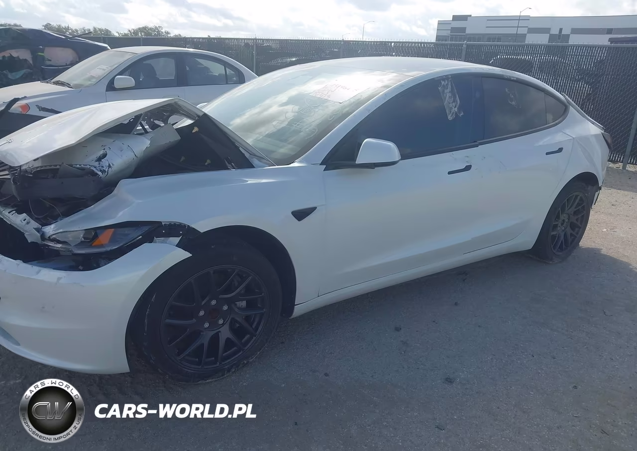 2025 Tesla Model 3 Long Range Rear-Wheel Drive-Standard Rear-Wheel Drive VIN:5YJ3E1EA3SF010029 - 2