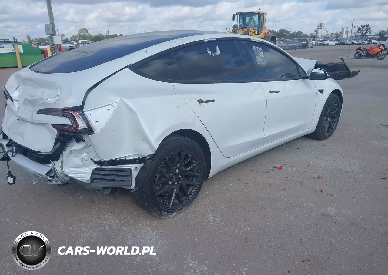2025 Tesla Model 3 Long Range Rear-Wheel Drive-Standard Rear-Wheel Drive VIN:5YJ3E1EA3SF010029 - 4