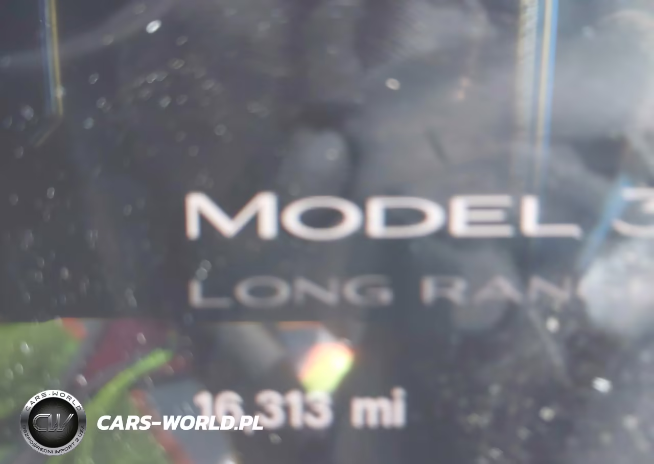 2025 Tesla Model 3 Long Range Rear-Wheel Drive-Standard Rear-Wheel Drive VIN:5YJ3E1EA3SF010029 - 7
