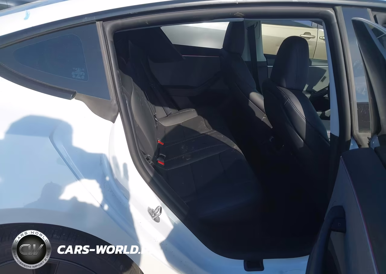 2025 Tesla Model 3 Long Range Rear-Wheel Drive-Standard Rear-Wheel Drive VIN:5YJ3E1EA3SF010029 - 8