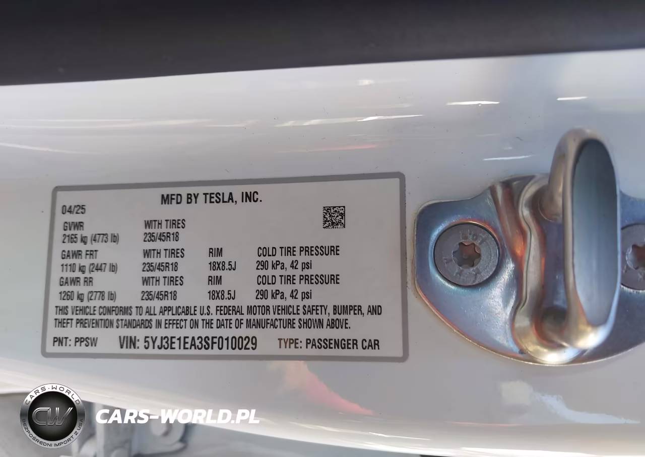2025 Tesla Model 3 Long Range Rear-Wheel Drive-Standard Rear-Wheel Drive VIN:5YJ3E1EA3SF010029 - 9