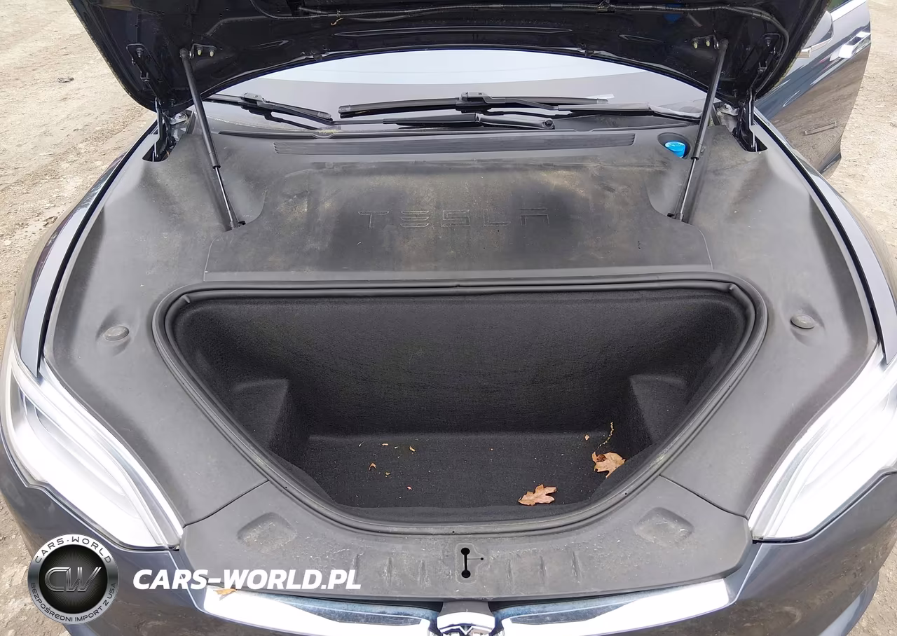 2019 Tesla Model S 100D-75D-Long Range-Standard Range VIN:5YJSA1E26KF300801 - 10