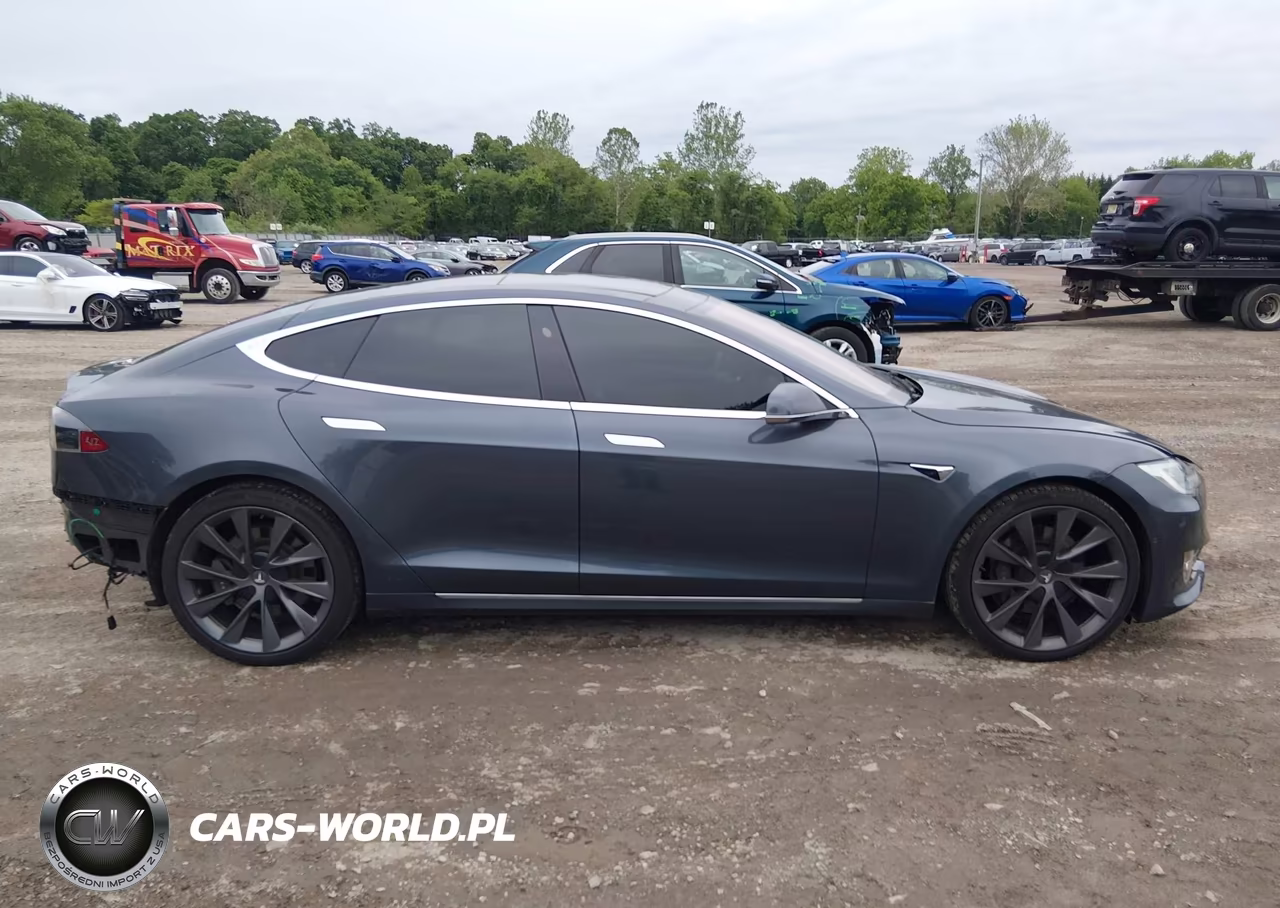 2019 Tesla Model S 100D-75D-Long Range-Standard Range VIN:5YJSA1E26KF300801 - 14