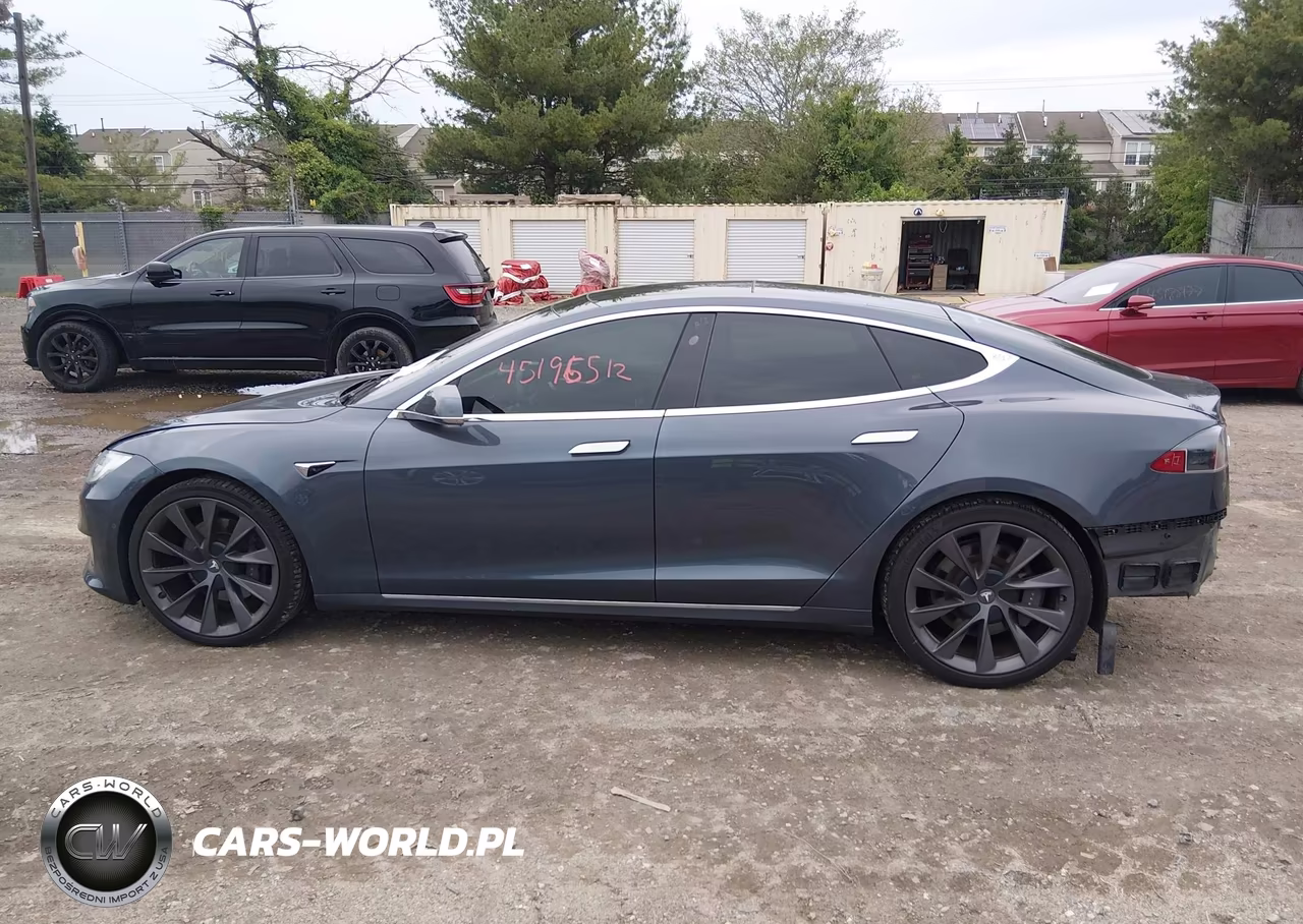 2019 Tesla Model S 100D-75D-Long Range-Standard Range VIN:5YJSA1E26KF300801 - 15