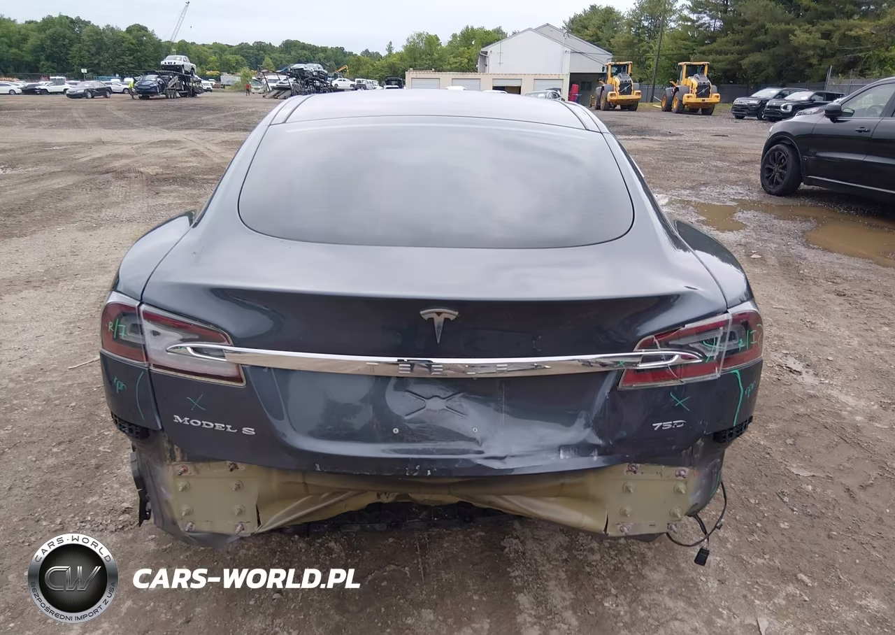 2019 Tesla Model S 100D-75D-Long Range-Standard Range VIN:5YJSA1E26KF300801 - 17