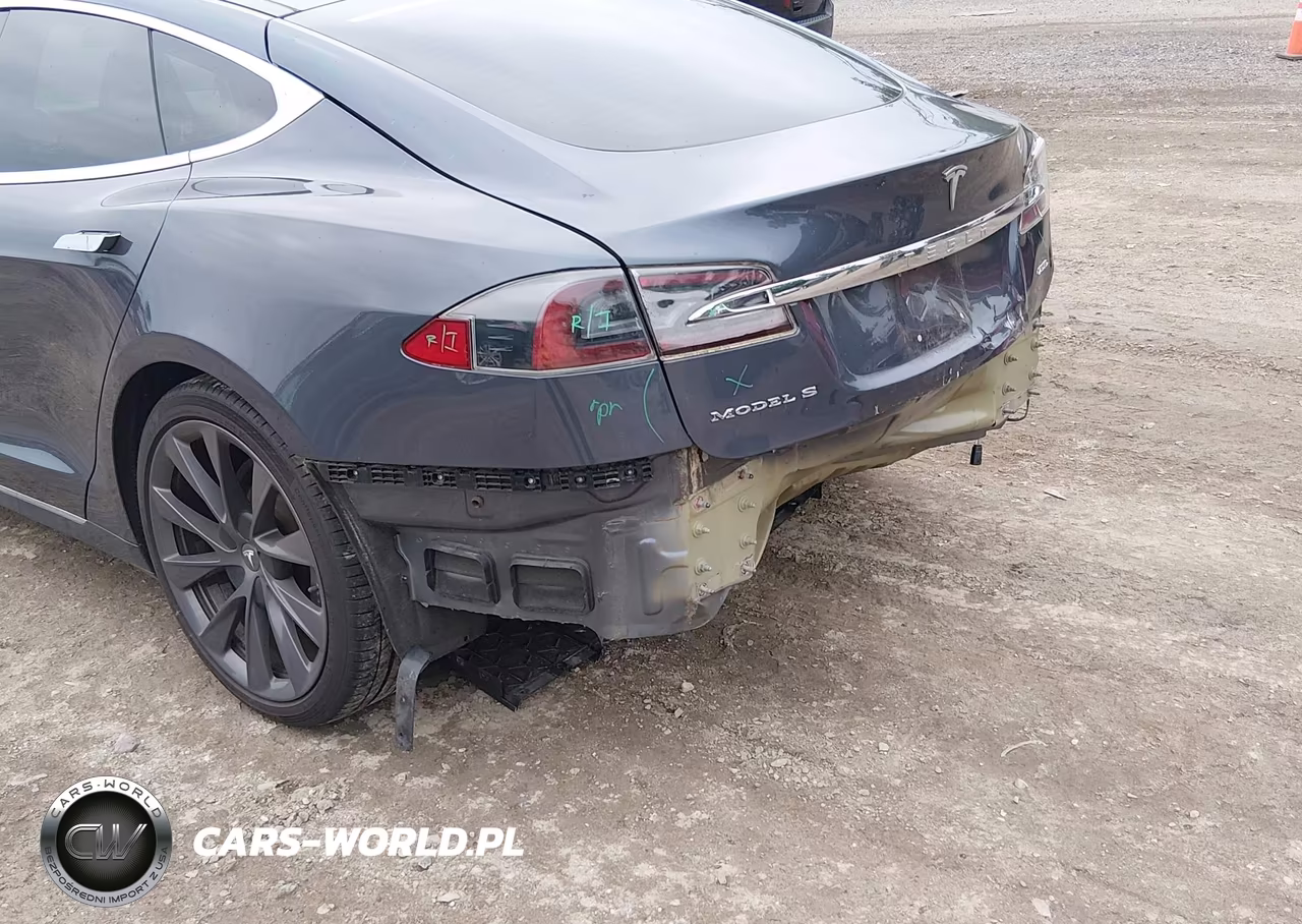 2019 Tesla Model S 100D-75D-Long Range-Standard Range VIN:5YJSA1E26KF300801 - 20