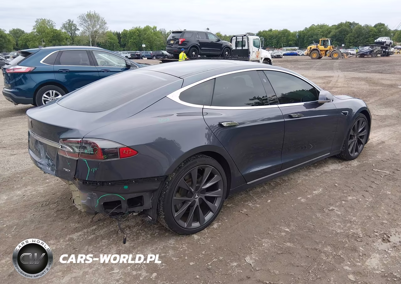 2019 Tesla Model S 100D-75D-Long Range-Standard Range VIN:5YJSA1E26KF300801 - 4