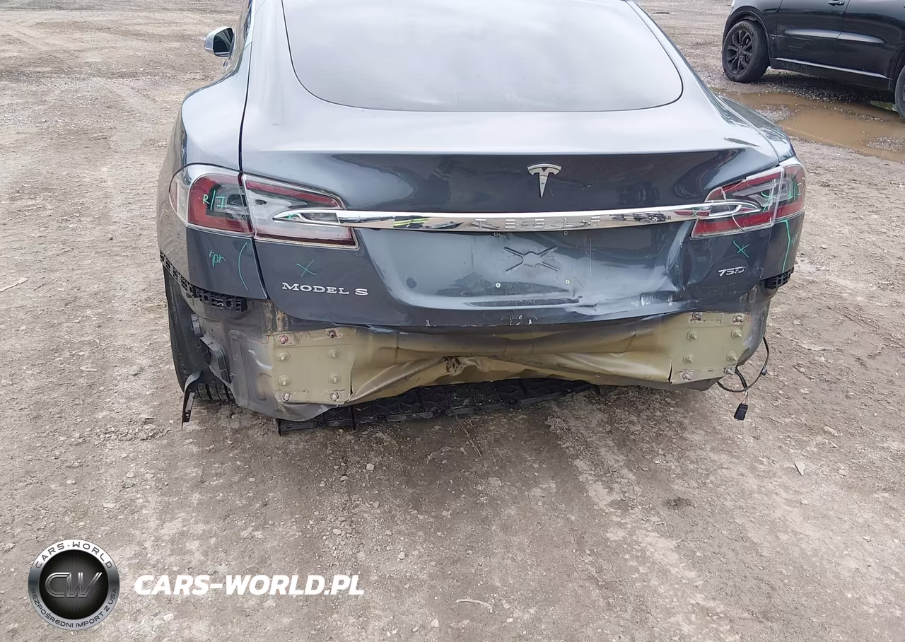 2019 Tesla Model S 100D-75D-Long Range-Standard Range VIN:5YJSA1E26KF300801 - 6