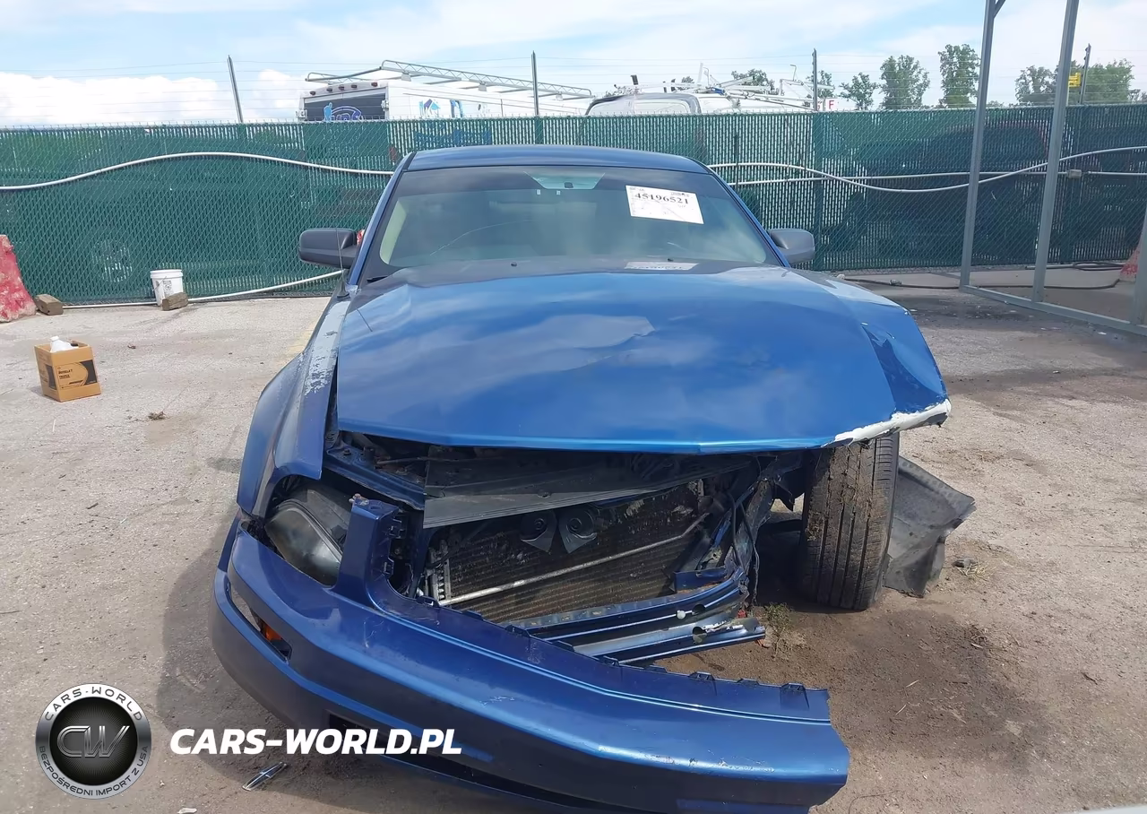 2006 Ford Mustang V6 VIN:1ZVFT80N365180689 - 13