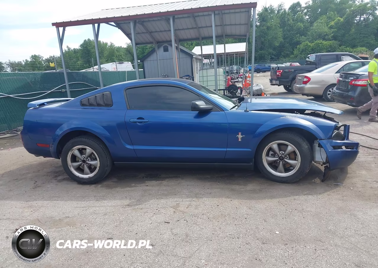 2006 Ford Mustang V6 VIN:1ZVFT80N365180689 - 14