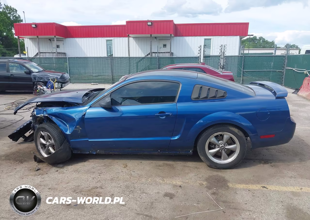 2006 Ford Mustang V6 VIN:1ZVFT80N365180689 - 15