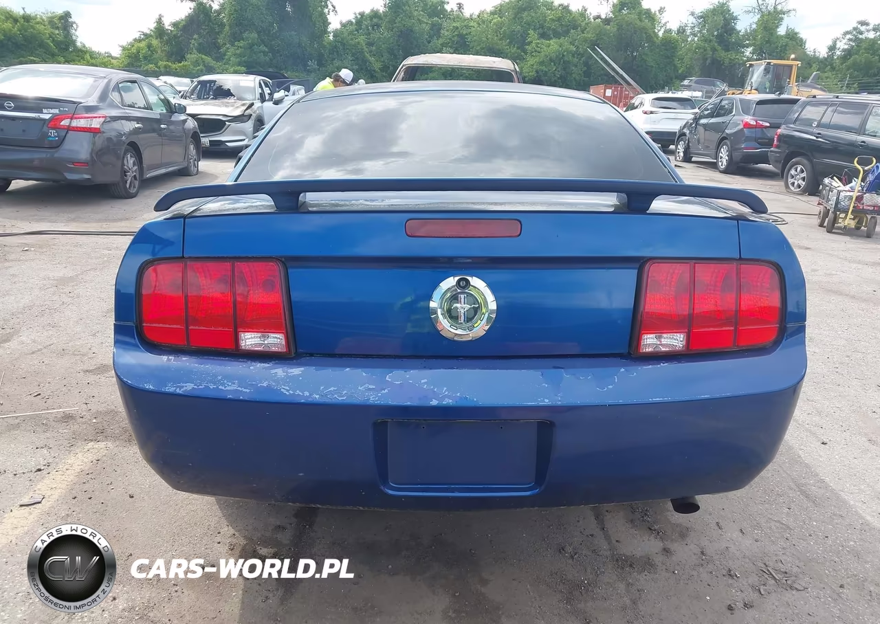 2006 Ford Mustang V6 VIN:1ZVFT80N365180689 - 17