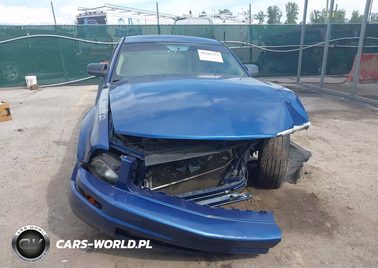 2006 Ford Mustang V6 VIN:1ZVFT80N365180689 - 6