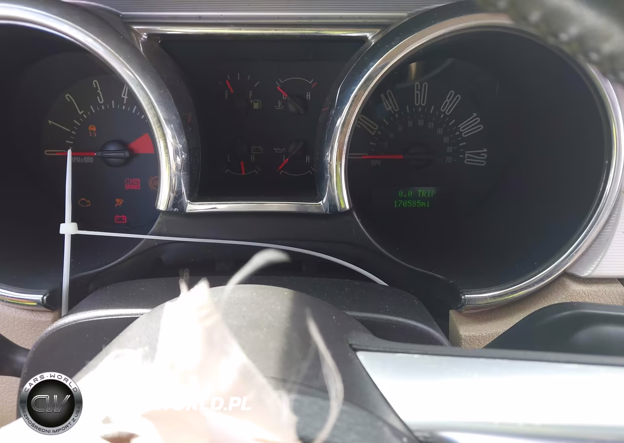 2006 Ford Mustang V6 VIN:1ZVFT80N365180689 - 7