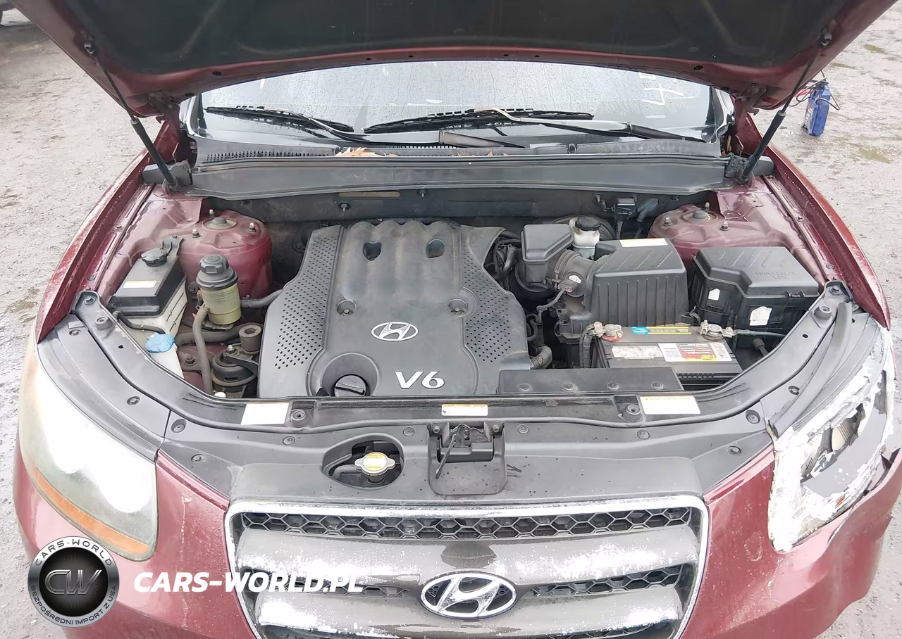 2007 Hyundai Santa Fe Gls VIN:5NMSG13D17H118058 - 10
