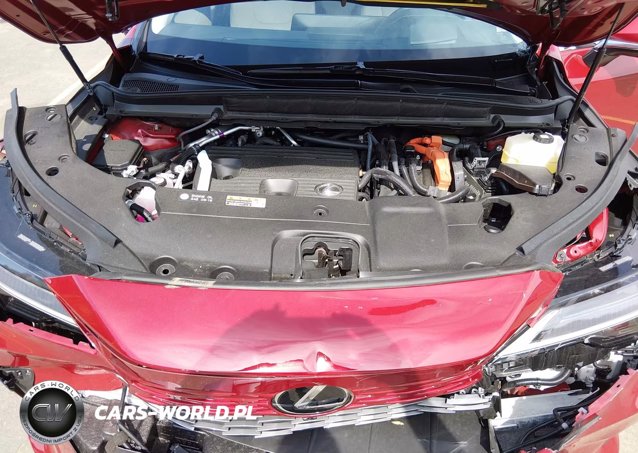 2025 Lexus Rx 450H+ Luxury VIN:JTJCJMGA8S2034739 - 10