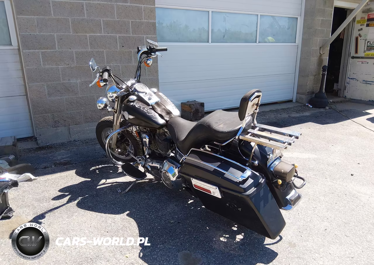 1994 Harley-Davidson Flstn VIN:1HD1BNL13RY036309 - 4