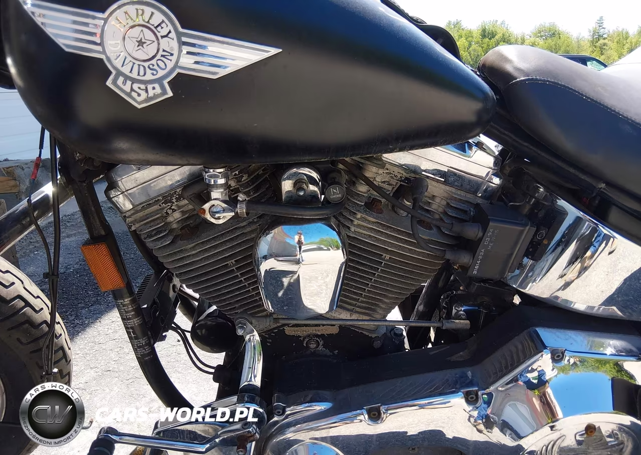 1994 Harley-Davidson Flstn VIN:1HD1BNL13RY036309 - 8