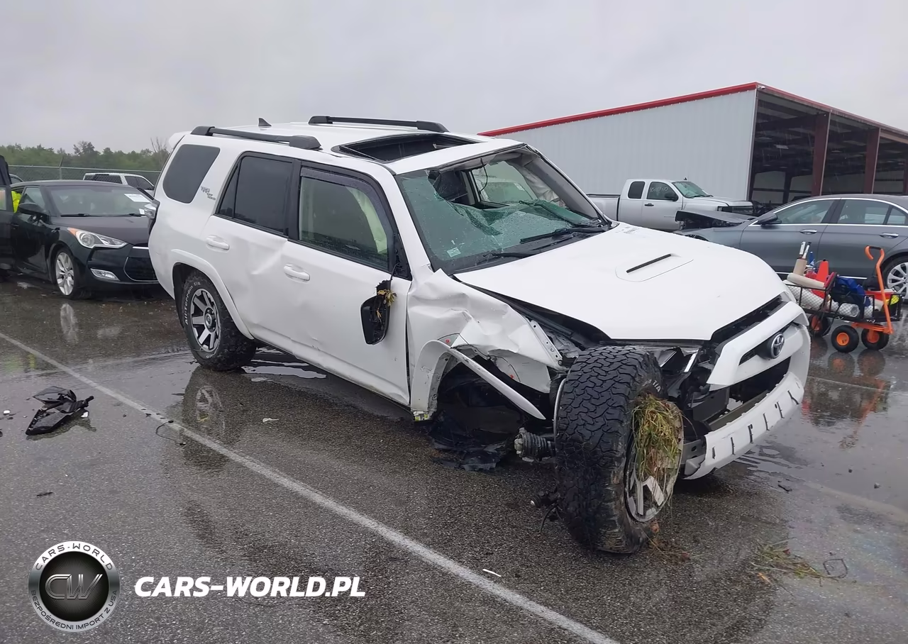 2019 Toyota 4Runner Trd Off Road Premium