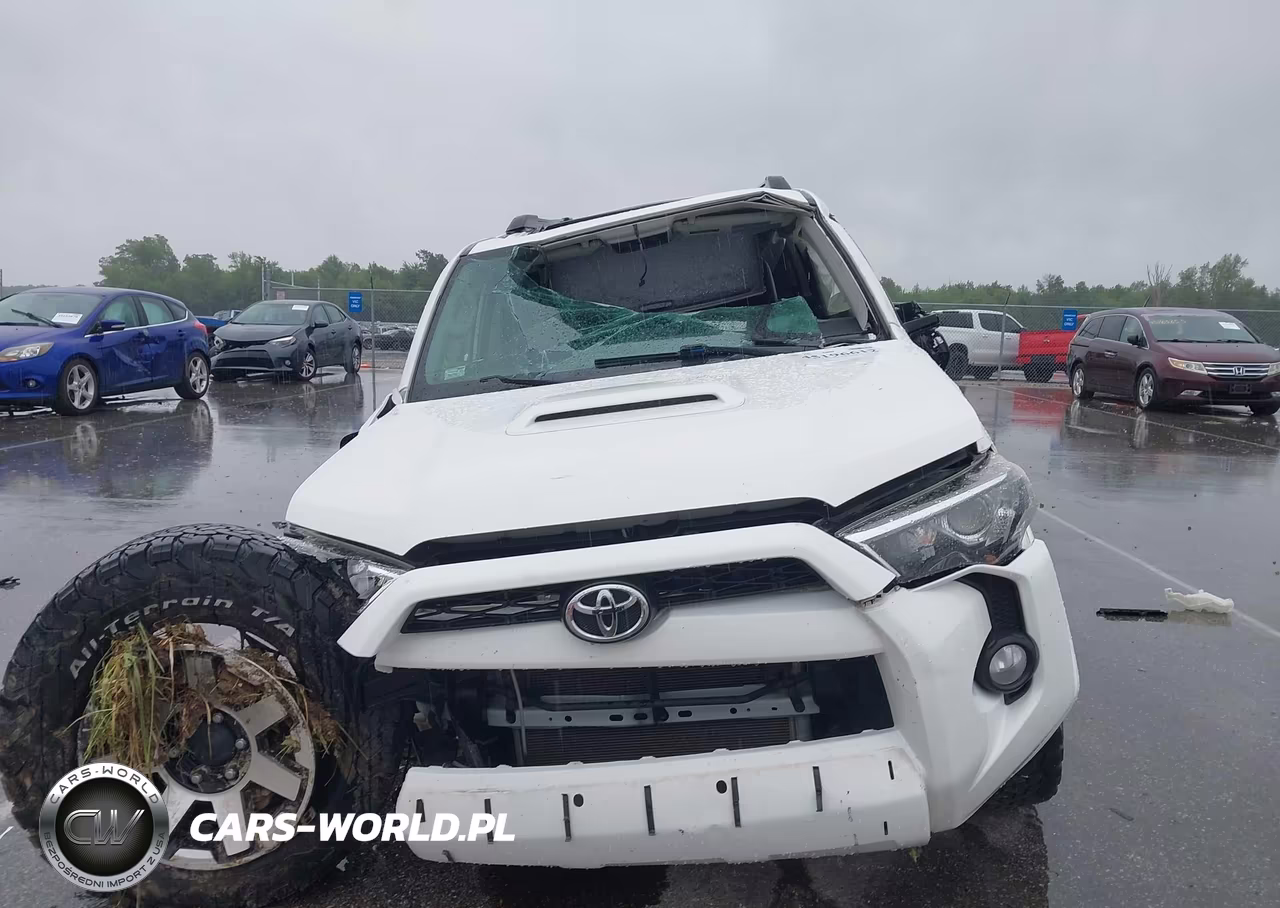 2019 Toyota 4Runner Trd Off Road Premium VIN:JTEBU5JR7K5644927 - 12