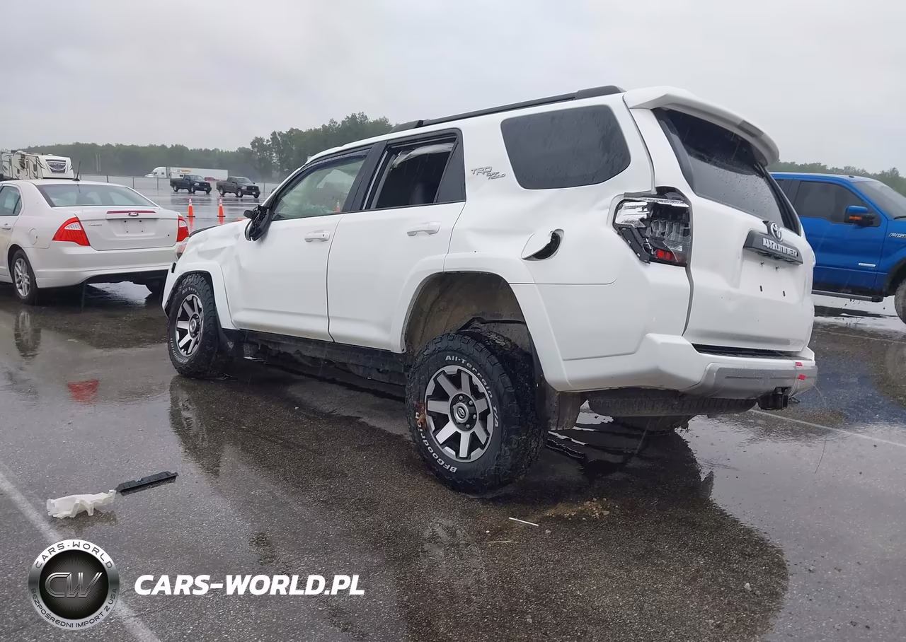2019 Toyota 4Runner Trd Off Road Premium VIN:JTEBU5JR7K5644927 - 3