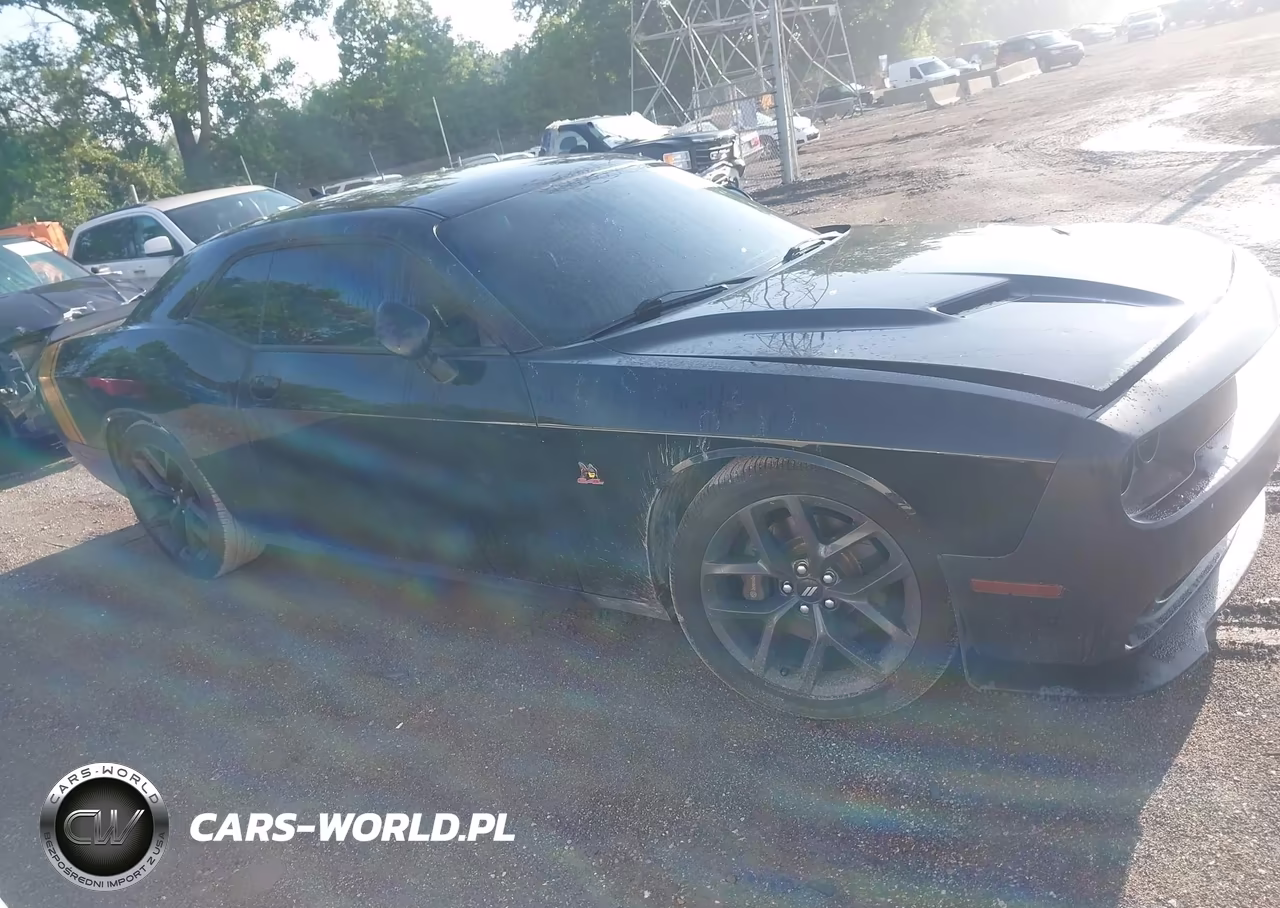 2016 Dodge Challenger R-T Scat Pack VIN:2C3CDZFJ1GH299918 - 13