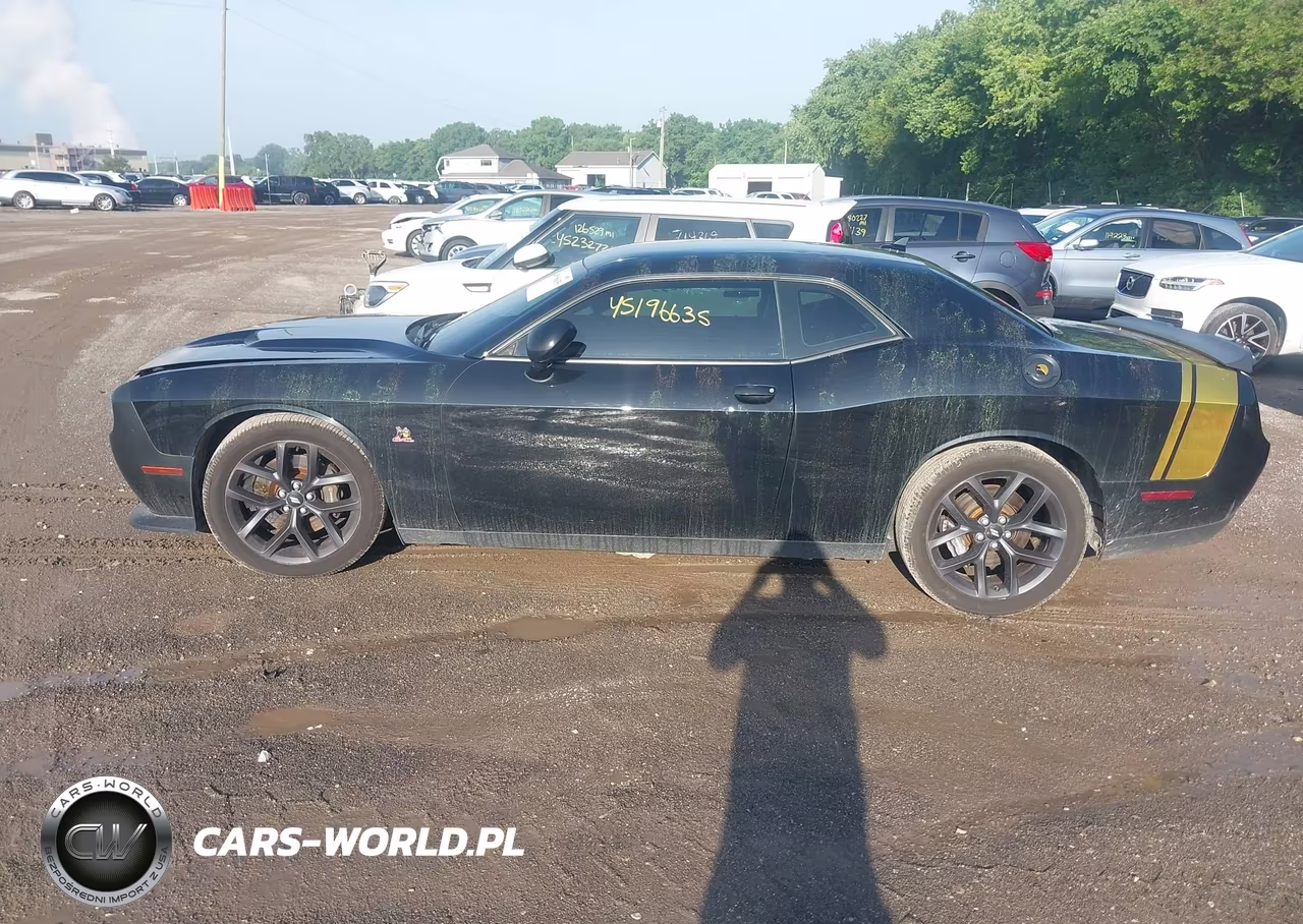 2016 Dodge Challenger R-T Scat Pack VIN:2C3CDZFJ1GH299918 - 14