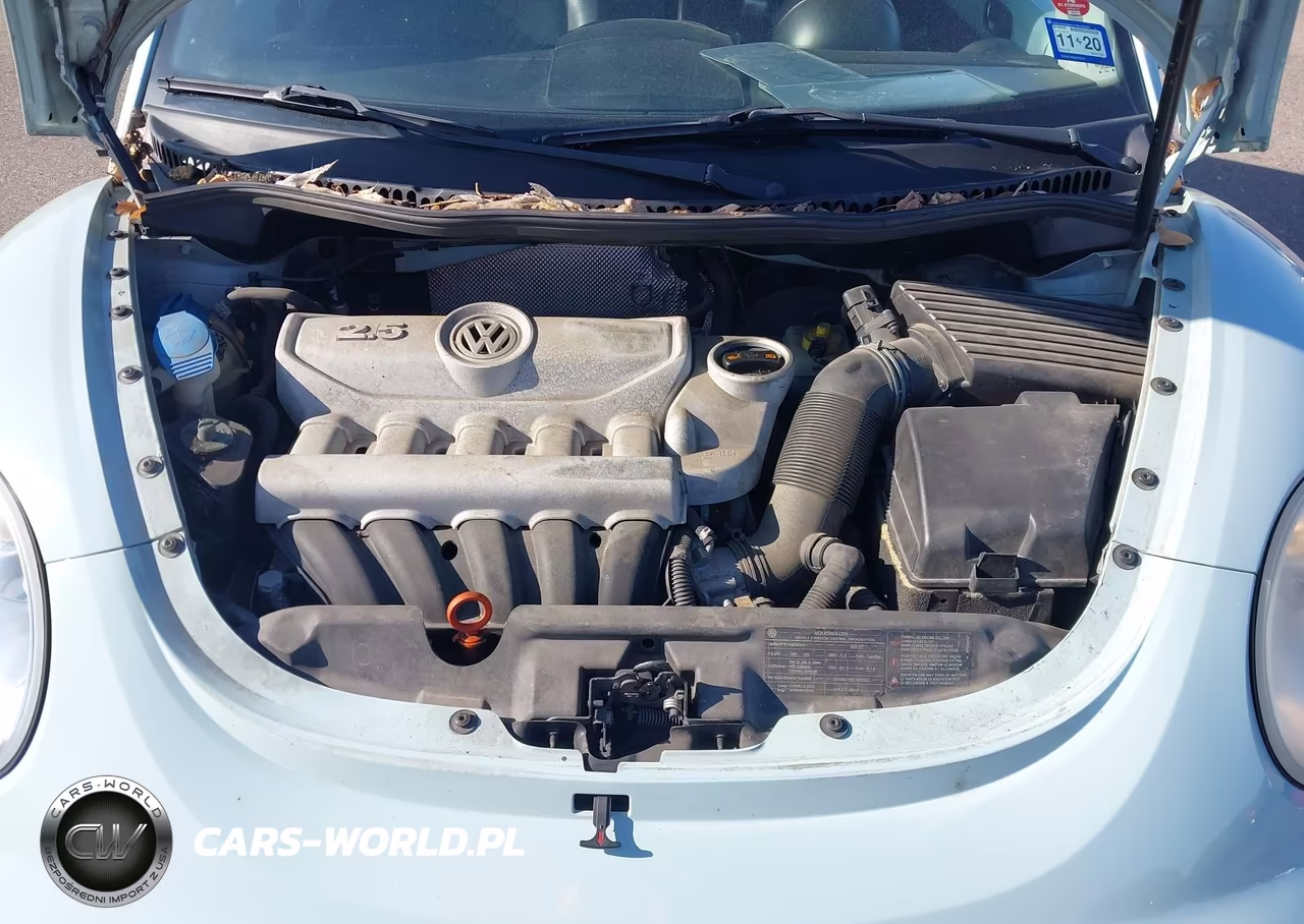 2010 Volkswagen New Beetle 2.5L Final Edition VIN:3VWRW3AG5AM027483 - 10