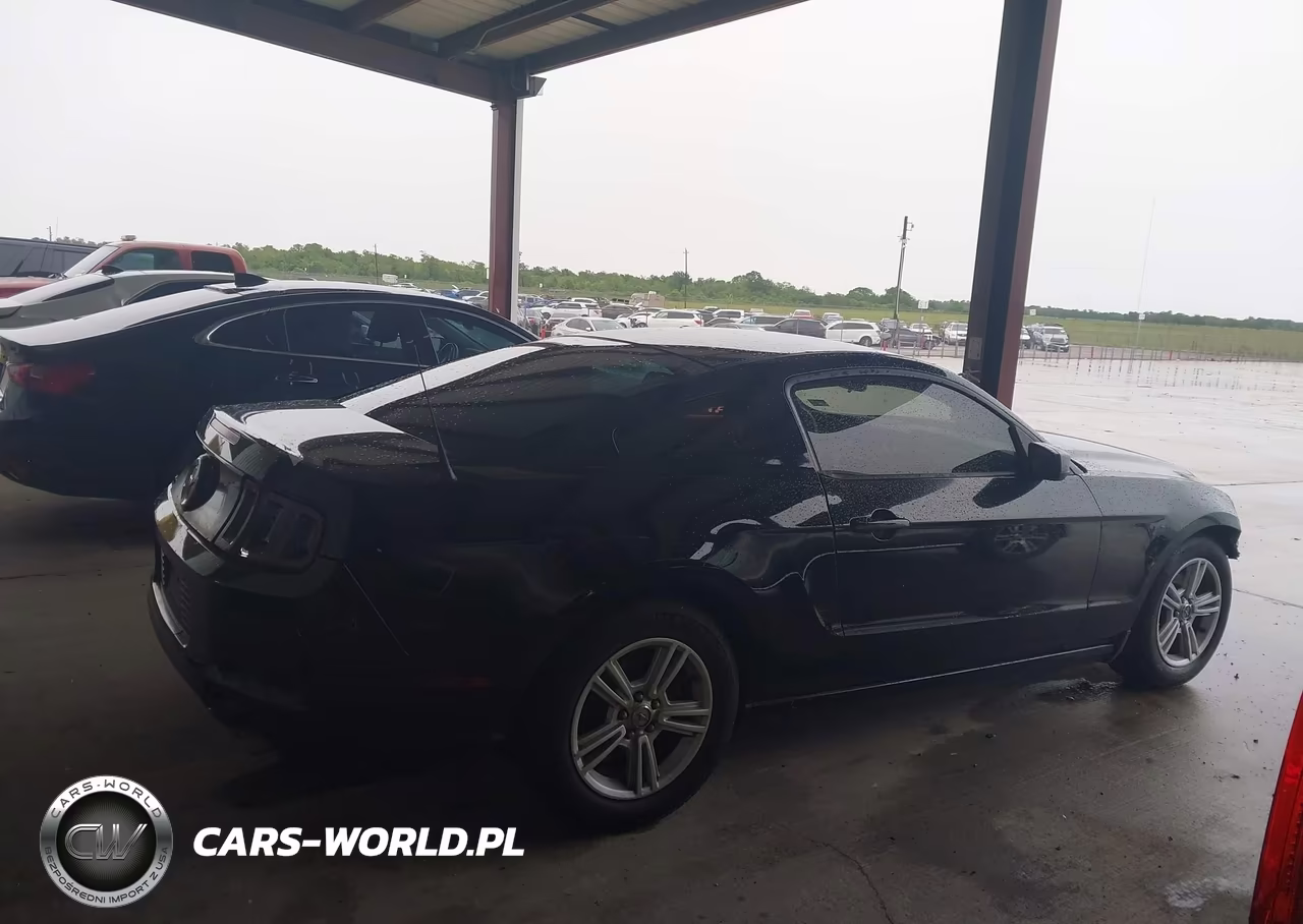 2014 Ford Mustang V6 VIN:1ZVBP8AM1E5256899 - 13