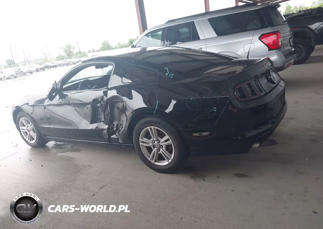 2014 Ford Mustang V6 VIN:1ZVBP8AM1E5256899 - 14
