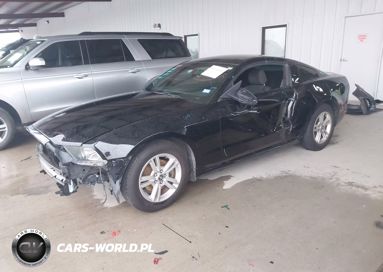 2014 Ford Mustang V6 VIN:1ZVBP8AM1E5256899 - 2