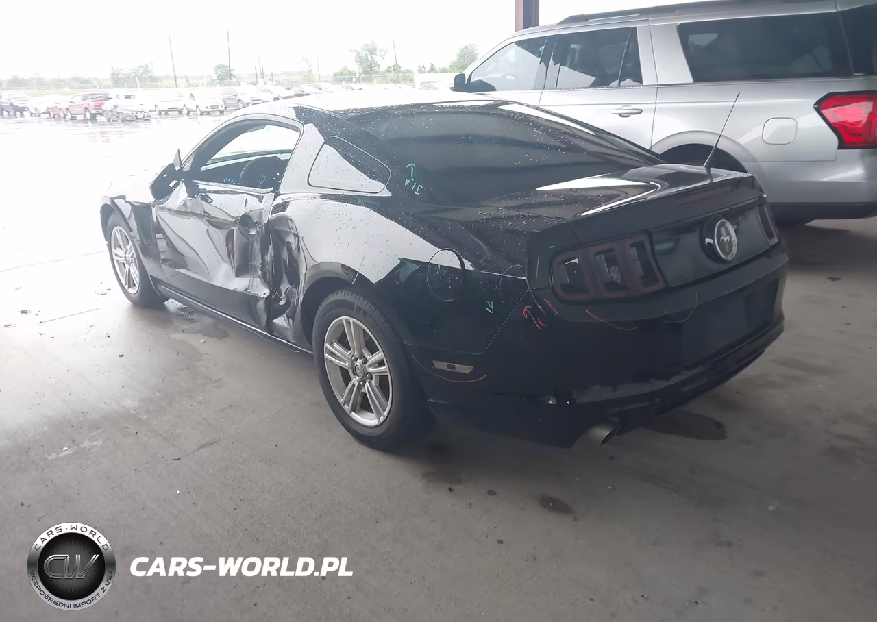 2014 Ford Mustang V6 VIN:1ZVBP8AM1E5256899 - 3