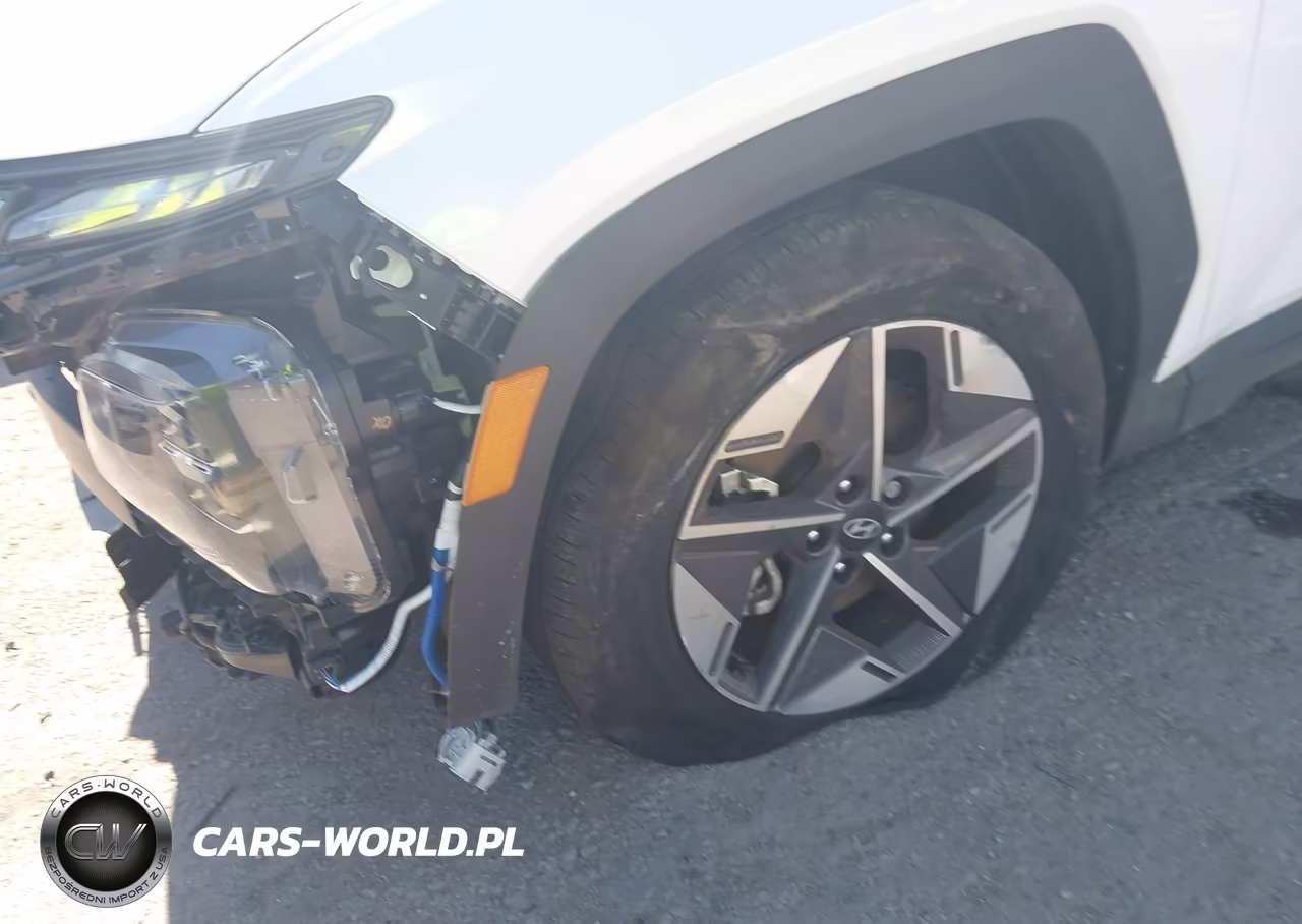 2025 Hyundai Tucson Sel Convenience VIN:3KMJC3DE2SE023774 - 18