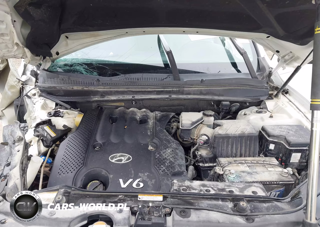 2008 Hyundai Santa Fe Gls VIN:5NMSG73D98H151216 - 10