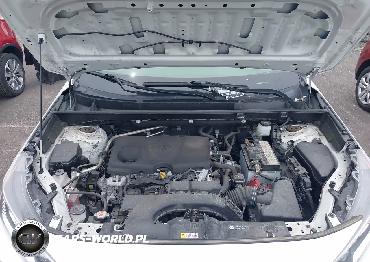 2019 Toyota Rav4 Xle VIN:JTMP1RFV9KJ006315 - 10