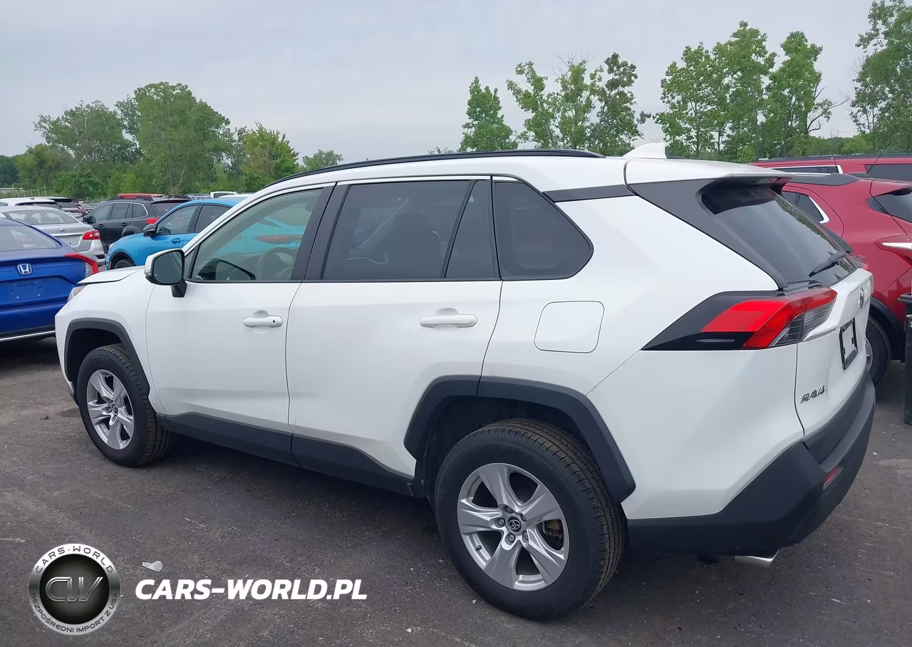 2019 Toyota Rav4 Xle VIN:JTMP1RFV9KJ006315 - 14