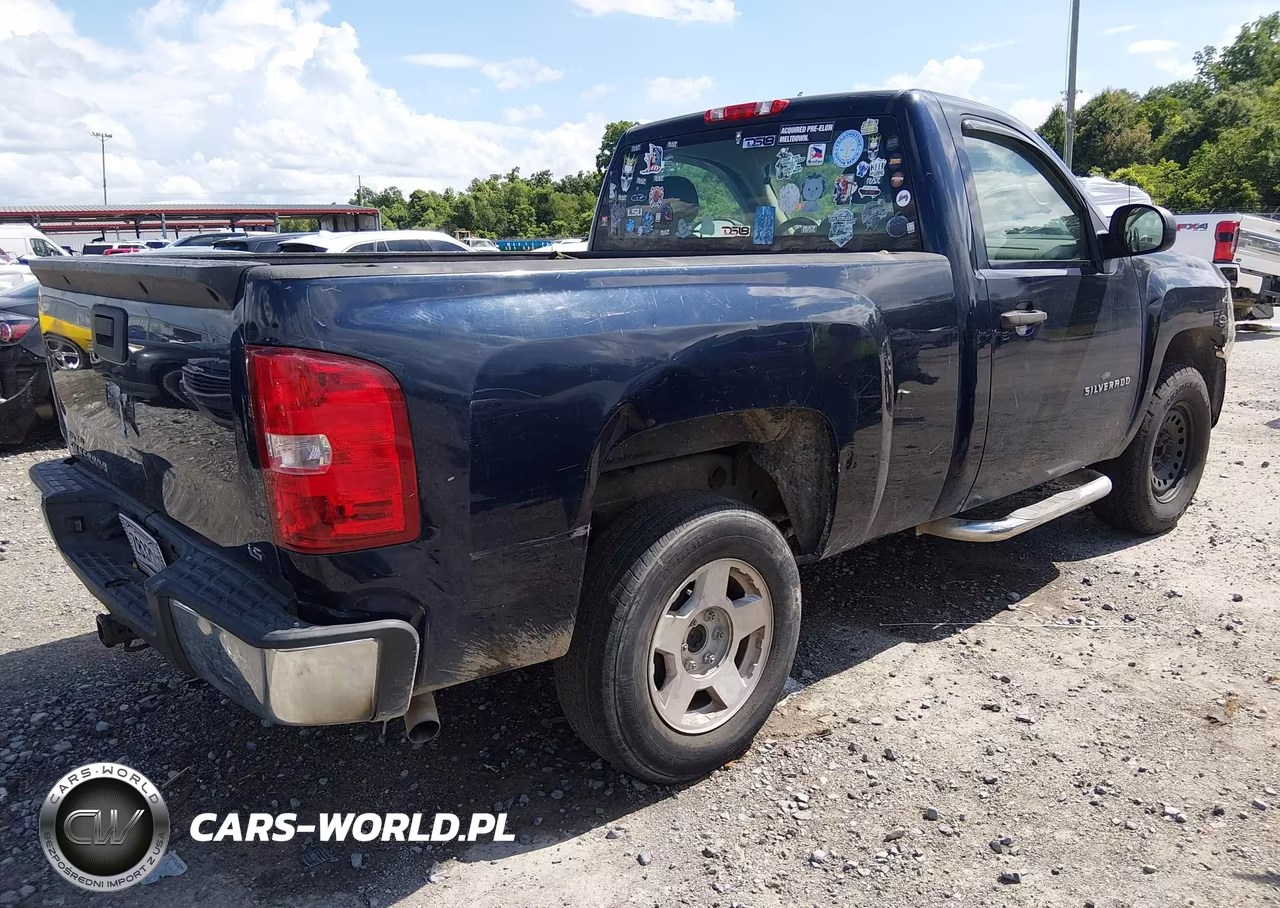 2011 Chevrolet Silverado 1500 Work Truck VIN:1GCNCPEX8BZ239693 - 4