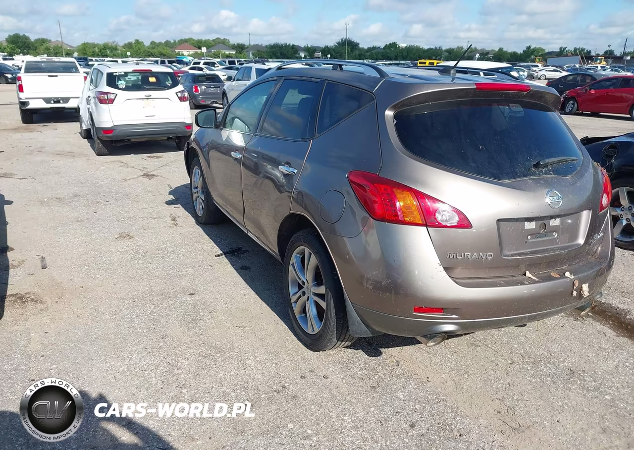 2010 Nissan Murano Le VIN:JN8AZ1MW0AW129258 - 3
