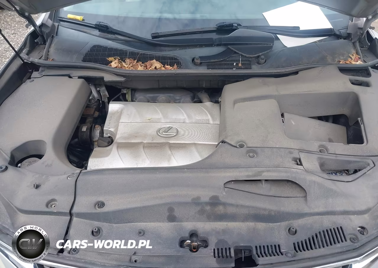 2010 Lexus Rx 350 VIN:2T2BK1BA0AC044176 - 10
