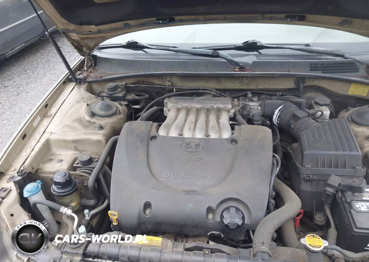 2004 Hyundai Sonata Gls-Lx VIN:KMHWF35H74A929591 - 10