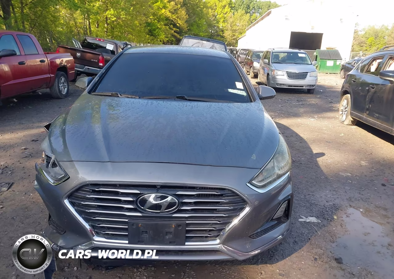 2018 Hyundai Sonata Eco VIN:5NPE24AA4JH720842 - 12