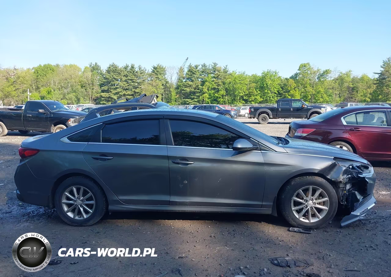 2018 Hyundai Sonata Eco VIN:5NPE24AA4JH720842 - 13