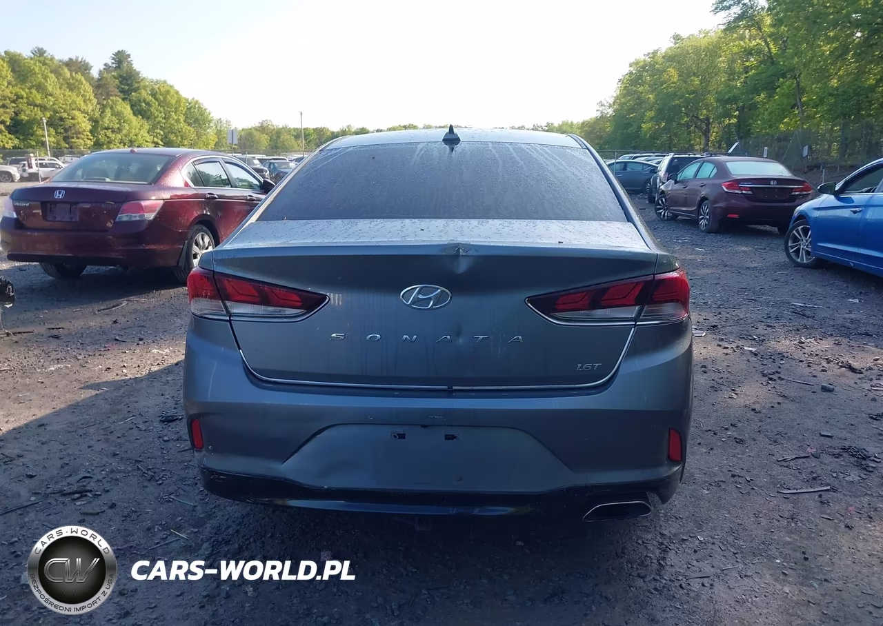 2018 Hyundai Sonata Eco VIN:5NPE24AA4JH720842 - 16