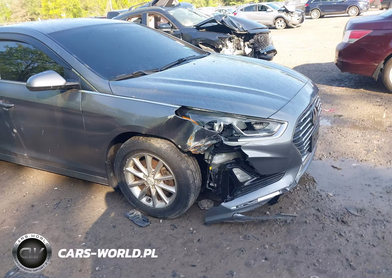 2018 Hyundai Sonata Eco VIN:5NPE24AA4JH720842 - 17